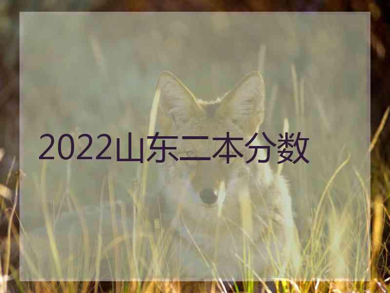 2022山东二本分数