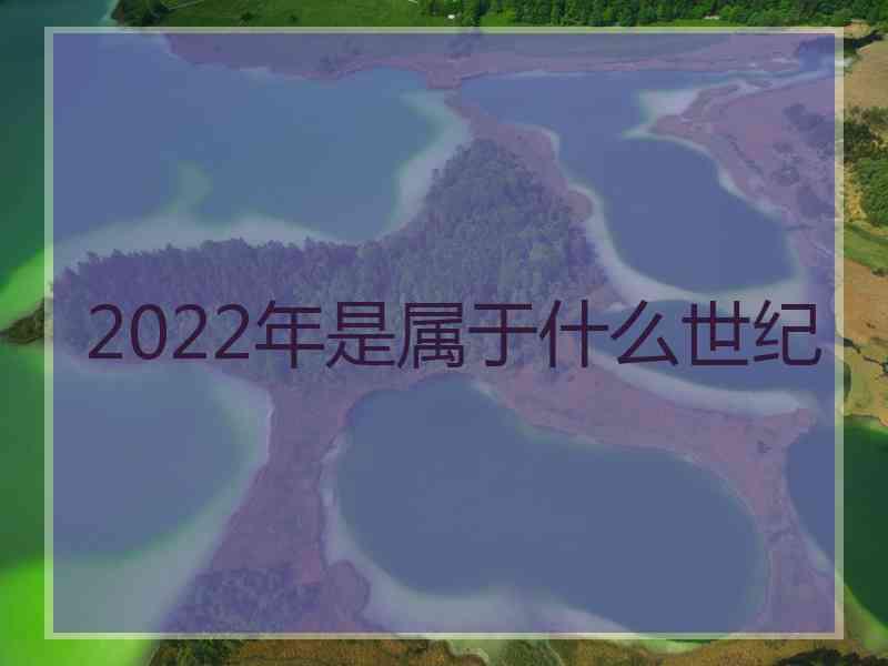 2022年是属于什么世纪