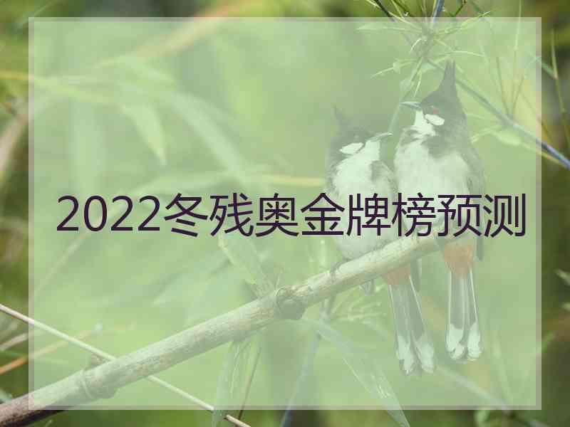 2022冬残奥金牌榜预测