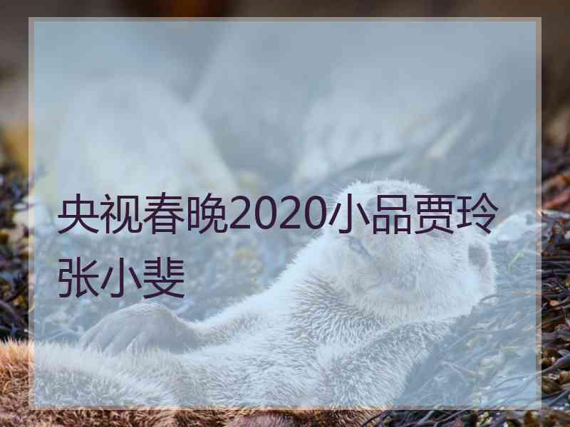 央视春晚2020小品贾玲张小斐