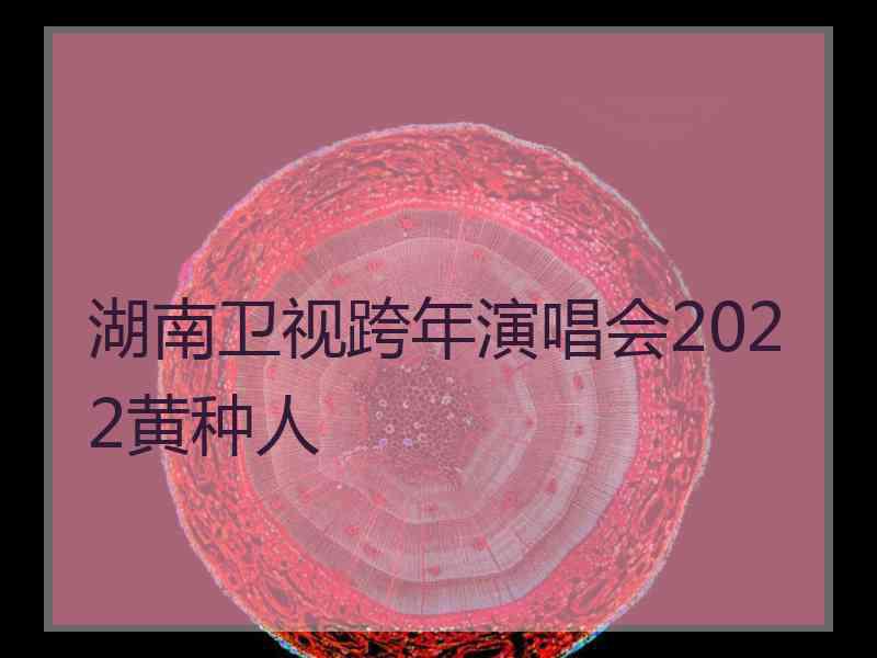 湖南卫视跨年演唱会2022黄种人