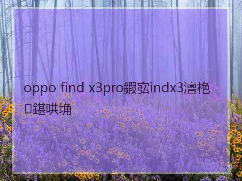 oppo find x3pro鍜宖indx3澶栬鍖哄埆