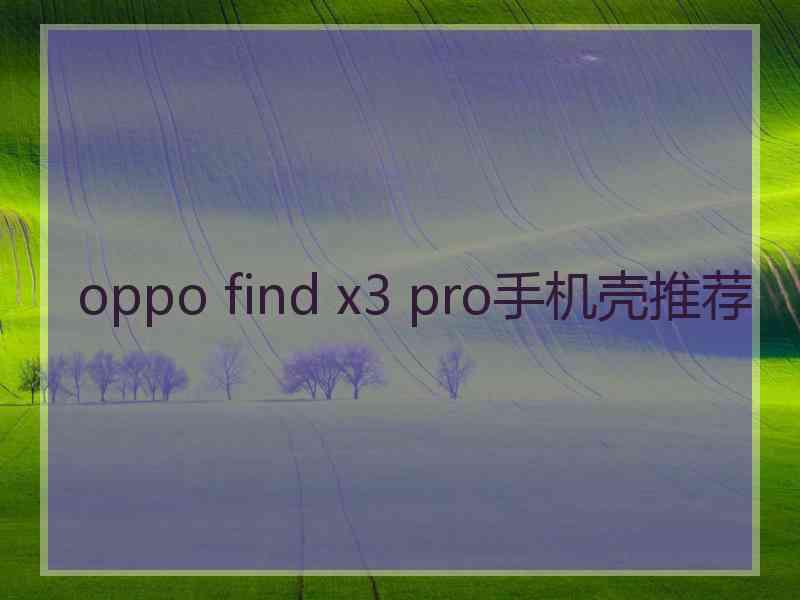 oppo find x3 pro手机壳推荐