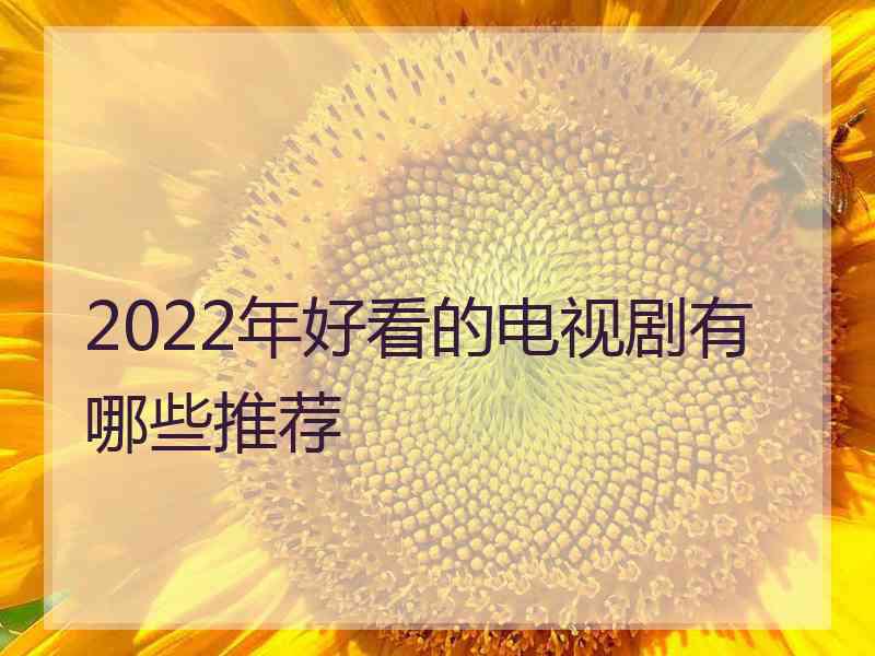 2022年好看的电视剧有哪些推荐