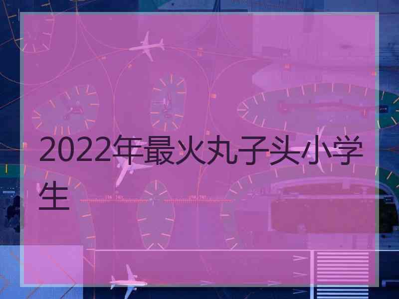 2022年最火丸子头小学生