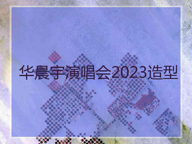 华晨宇演唱会2023造型