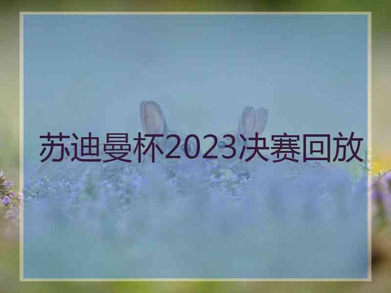 苏迪曼杯2023决赛回放