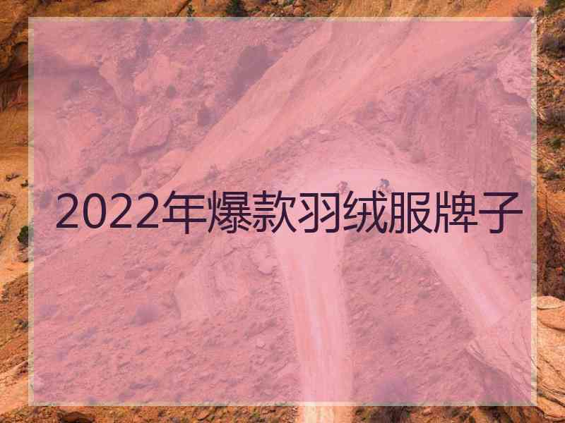 2022年爆款羽绒服牌子