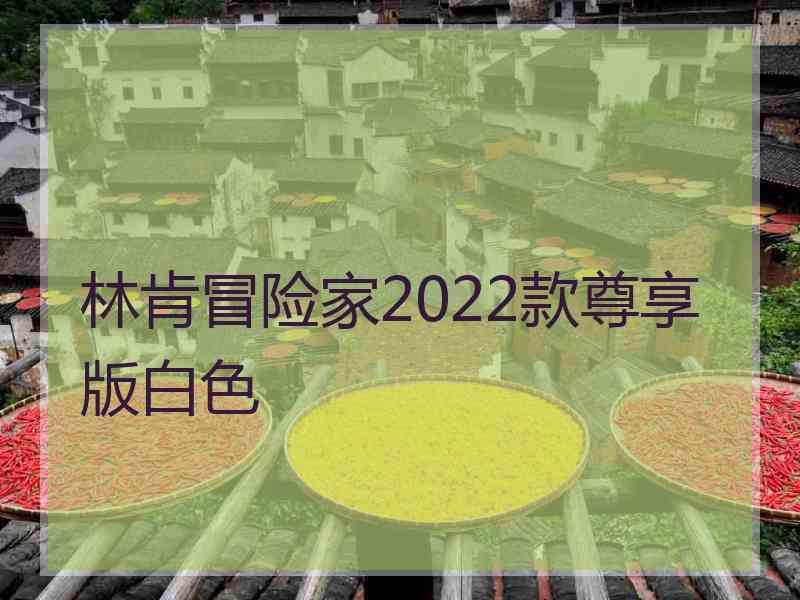 林肯冒险家2022款尊享版白色