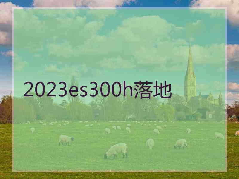 2023es300h落地