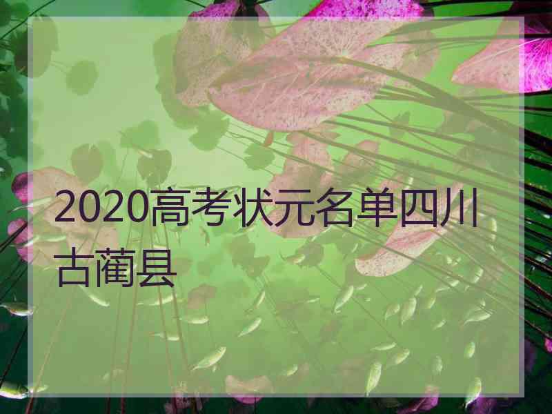 2020高考状元名单四川古蔺县