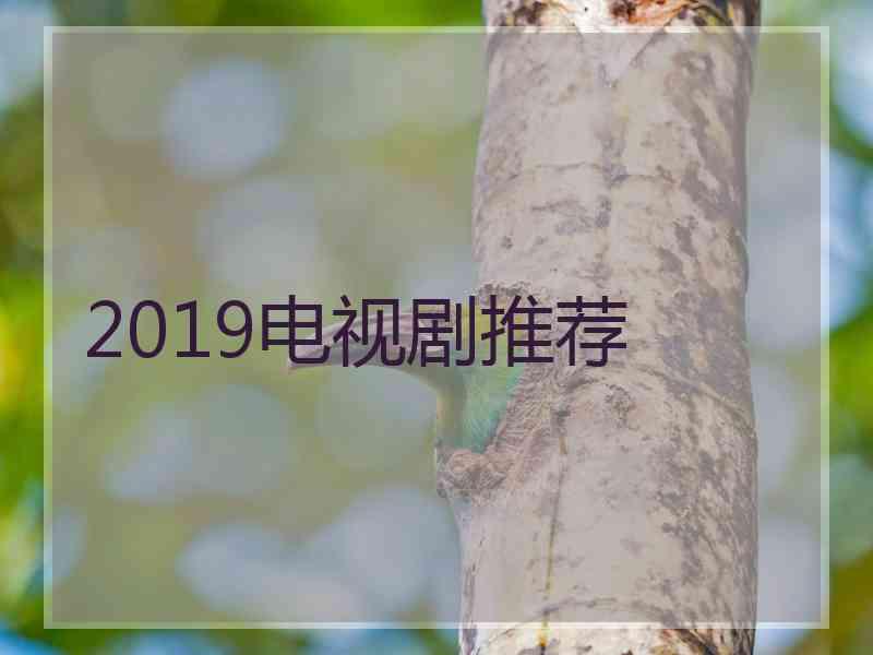 2019电视剧推荐