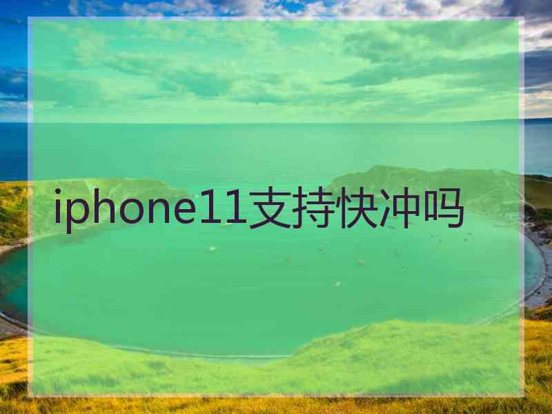 iphone11支持快冲吗