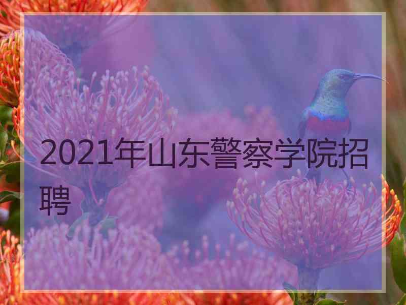 2021年山东警察学院招聘