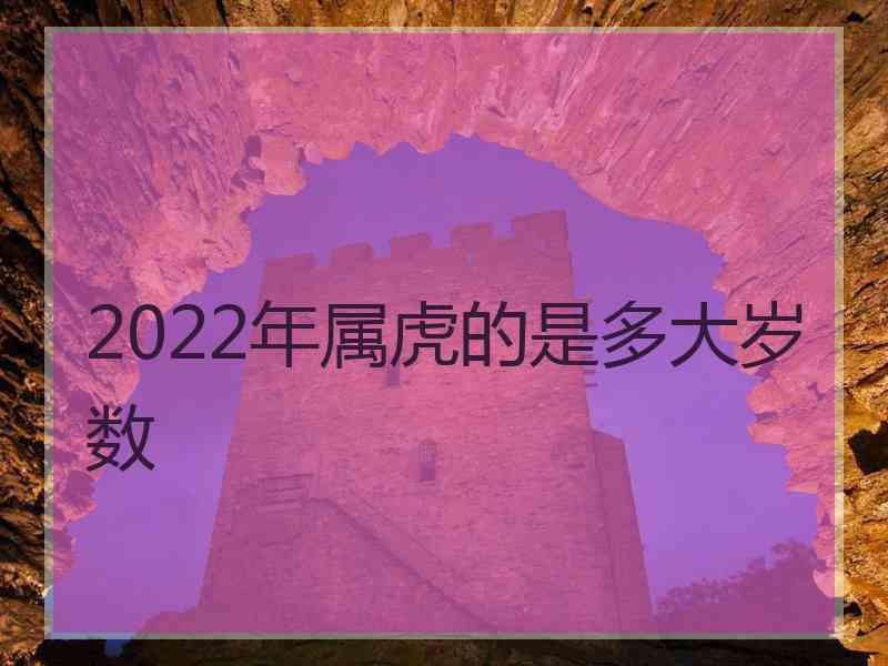 2022年属虎的是多大岁数