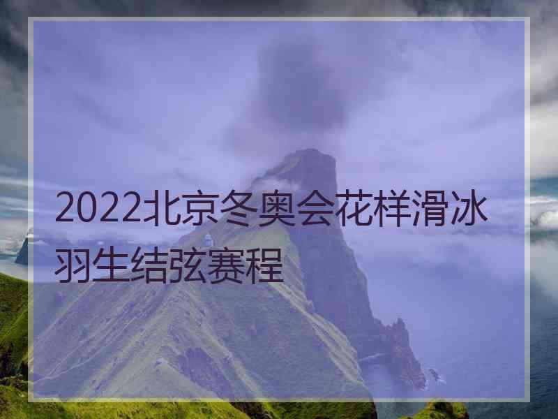 2022北京冬奥会花样滑冰羽生结弦赛程