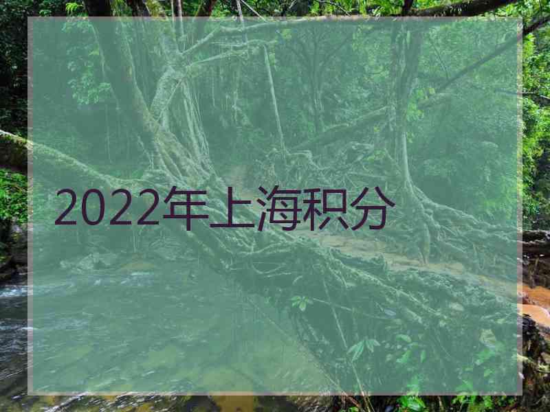 2022年上海积分