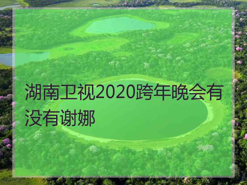 湖南卫视2020跨年晚会有没有谢娜