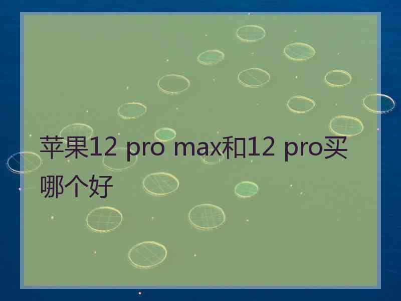 苹果12 pro max和12 pro买哪个好