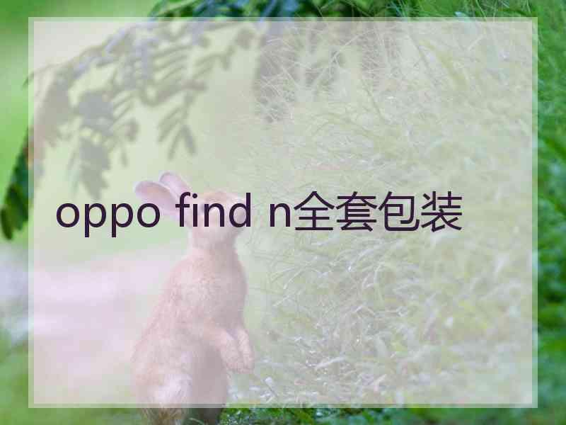 oppo find n全套包装