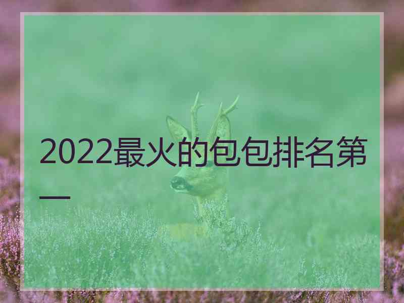 2022最火的包包排名第一