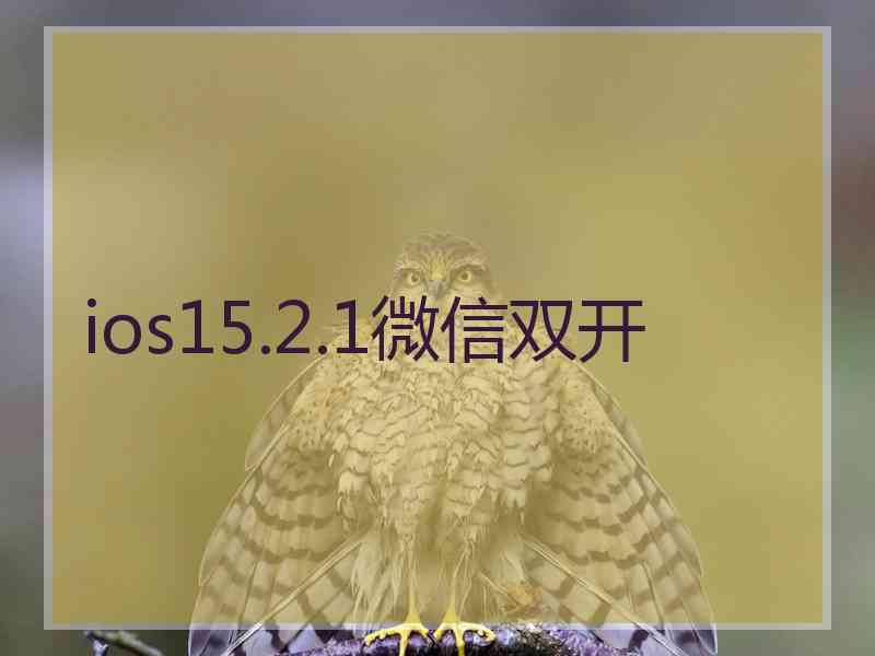 ios15.2.1微信双开