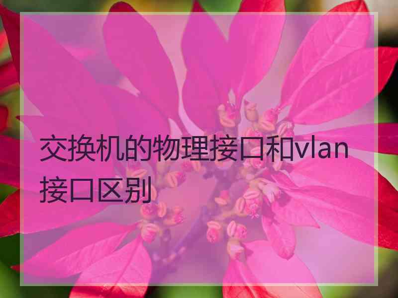 交换机的物理接口和vlan接口区别