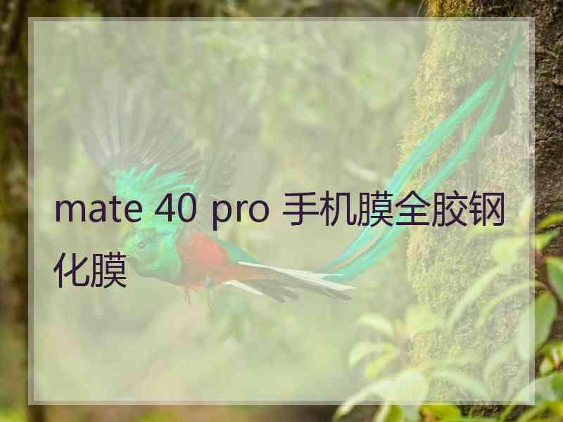 mate 40 pro 手机膜全胶钢化膜