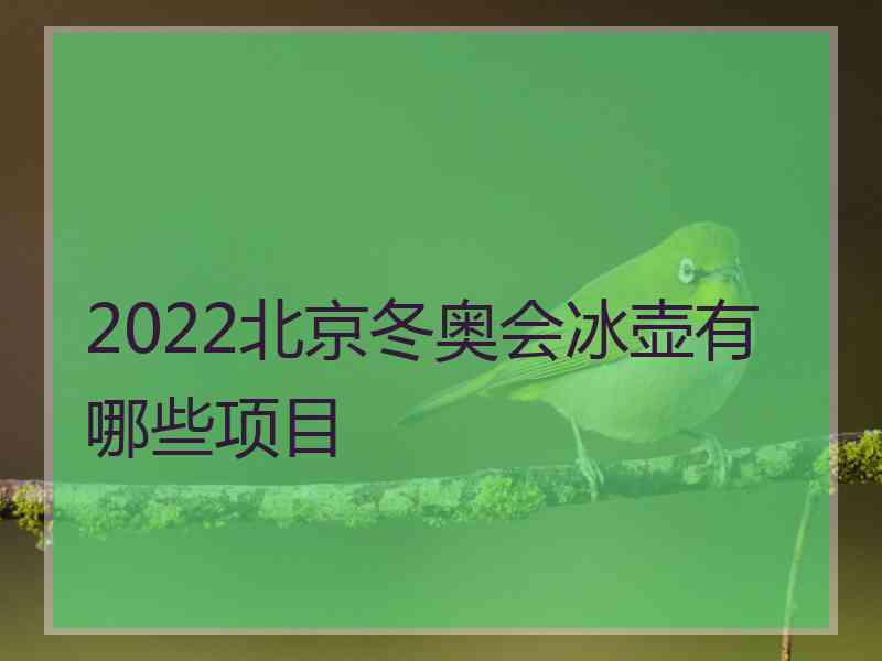 2022北京冬奥会冰壶有哪些项目