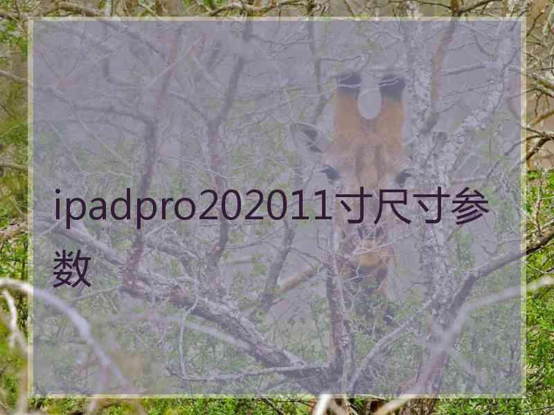 ipadpro202011寸尺寸参数