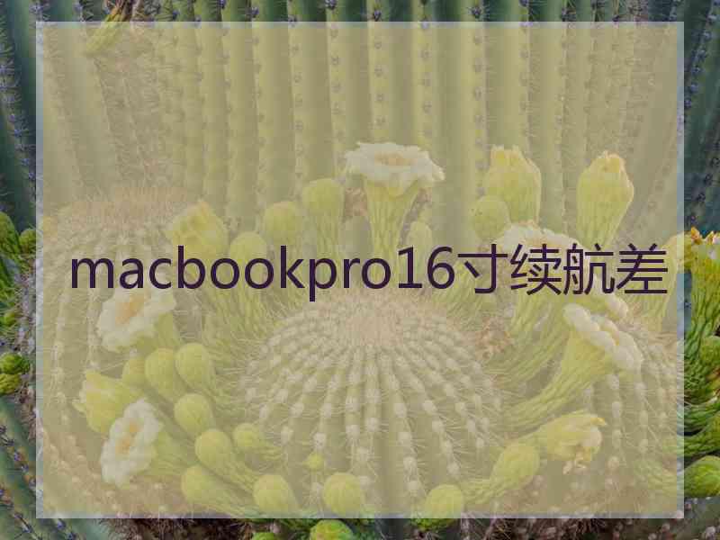 macbookpro16寸续航差