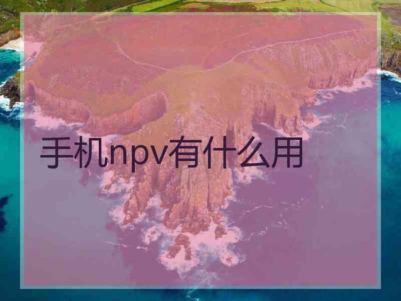 手机npv有什么用