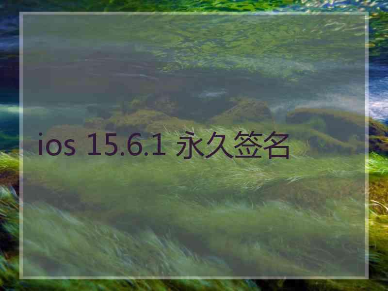 ios 15.6.1 永久签名