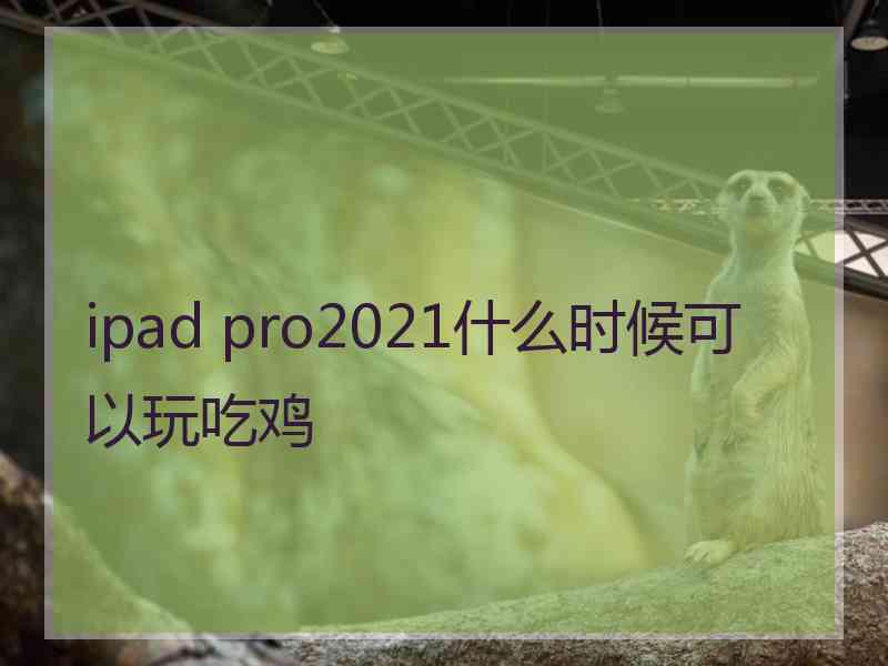 ipad pro2021什么时候可以玩吃鸡