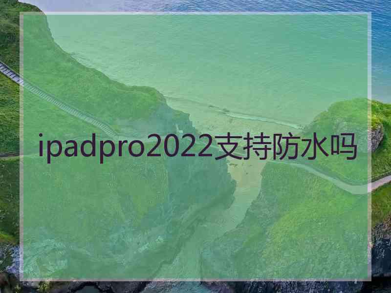 ipadpro2022支持防水吗