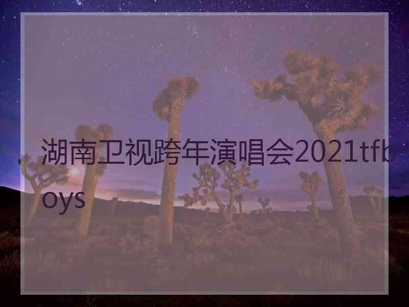 湖南卫视跨年演唱会2021tfboys