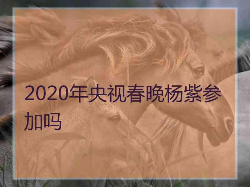 2020年央视春晚杨紫参加吗