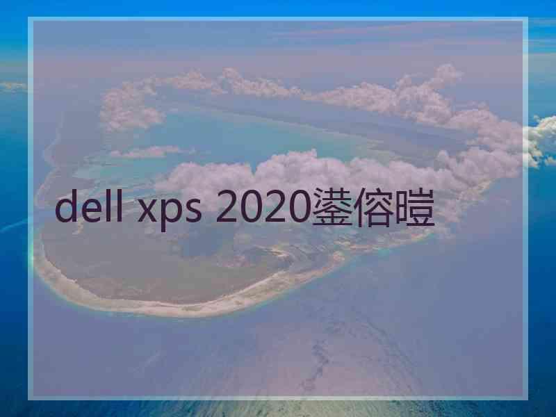 dell xps 2020鍙傛暟