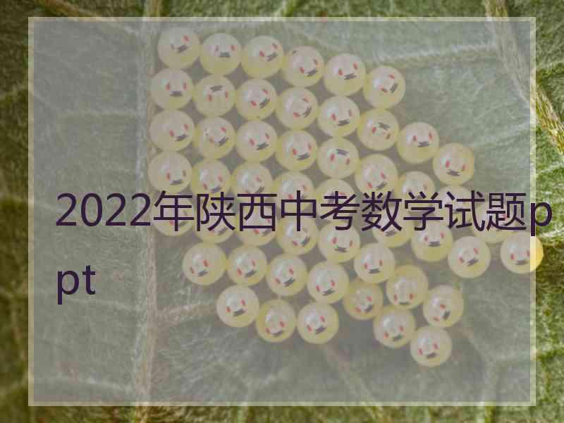 2022年陕西中考数学试题ppt