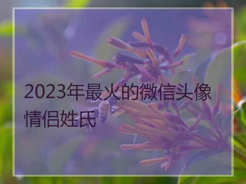 2023年最火的微信头像情侣姓氏