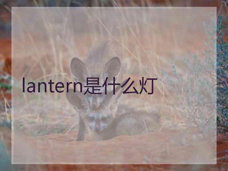 lantern是什么灯