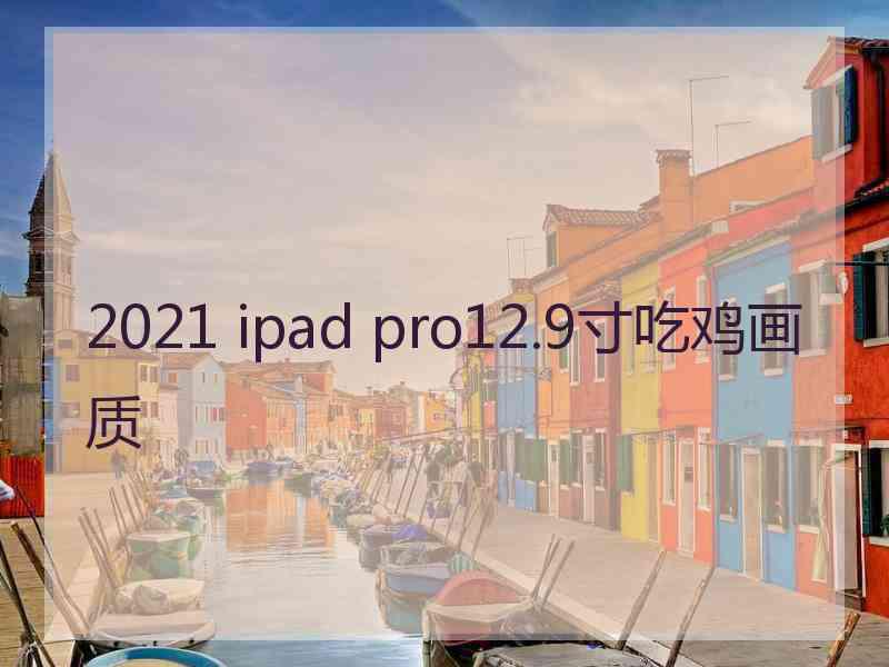 2021 ipad pro12.9寸吃鸡画质