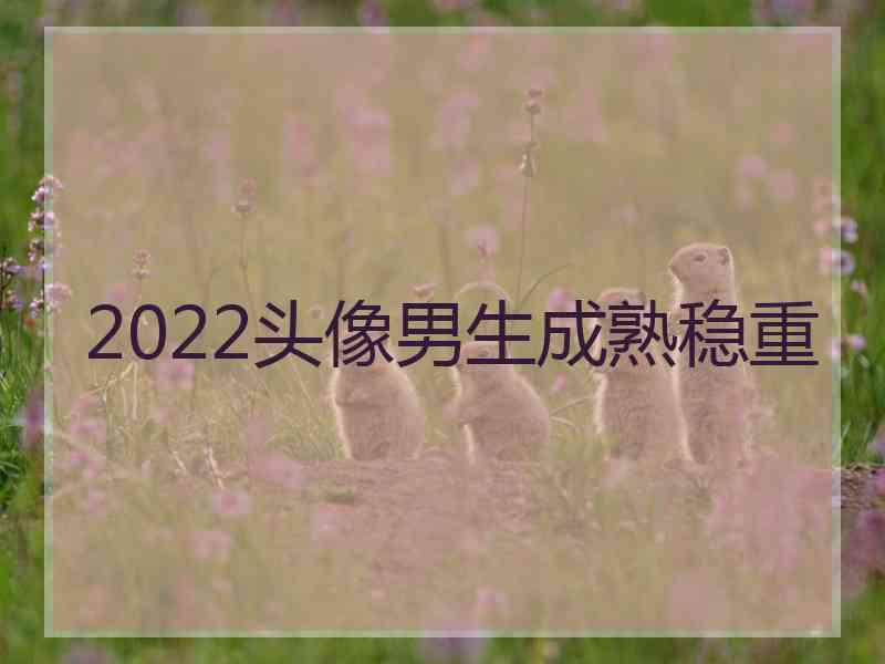 2022头像男生成熟稳重