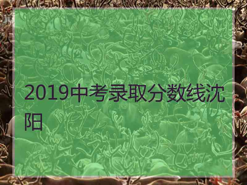 2019中考录取分数线沈阳