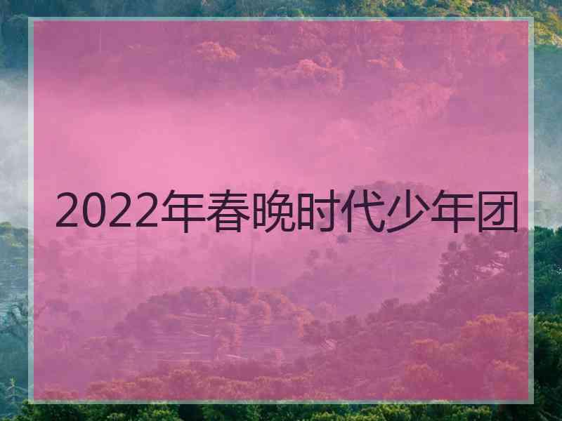 2022年春晚时代少年团