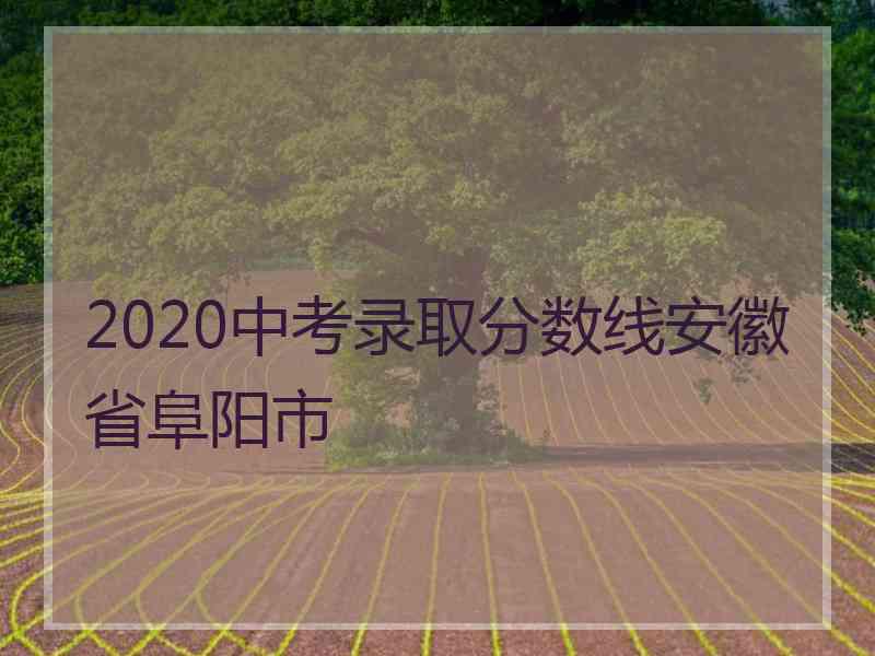 2020中考录取分数线安徽省阜阳市