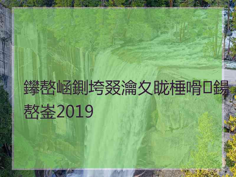 鑻嶅崡鍘垮叕瀹夊眬棰嗗鍚嶅崟2019