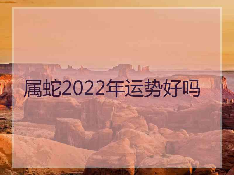 属蛇2022年运势好吗