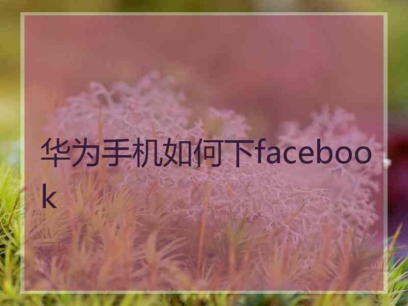 华为手机如何下facebook