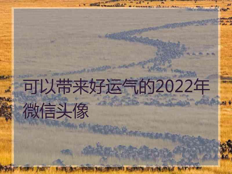 可以带来好运气的2022年微信头像